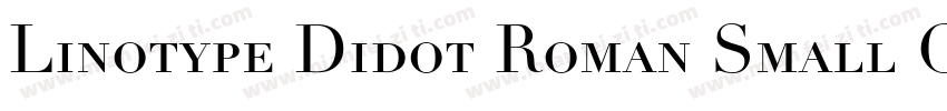 Linotype Didot Roman Small Caps & Oldstyle Figures字体转换